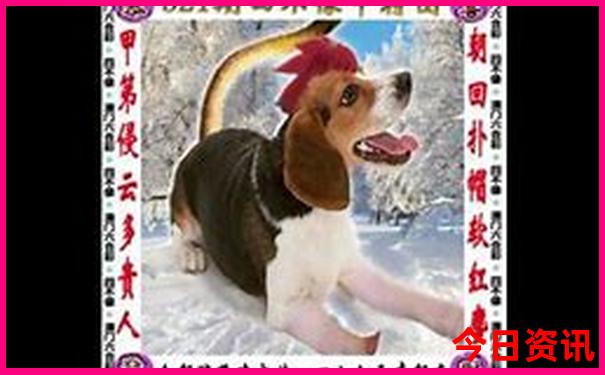 重庆周边避暑露营地点推荐